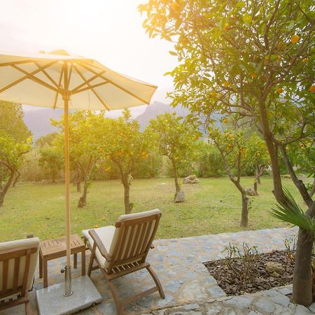 Finca Can Coll Boutique Country House - Adults Only Sóller Exteriér fotografie