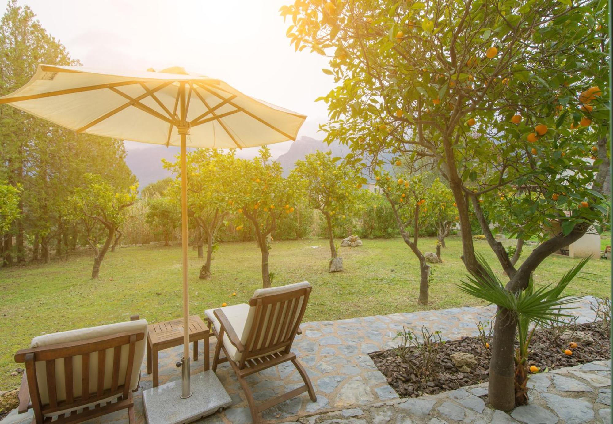Finca Can Coll Boutique Country House - Adults Only Sóller Exteriér fotografie